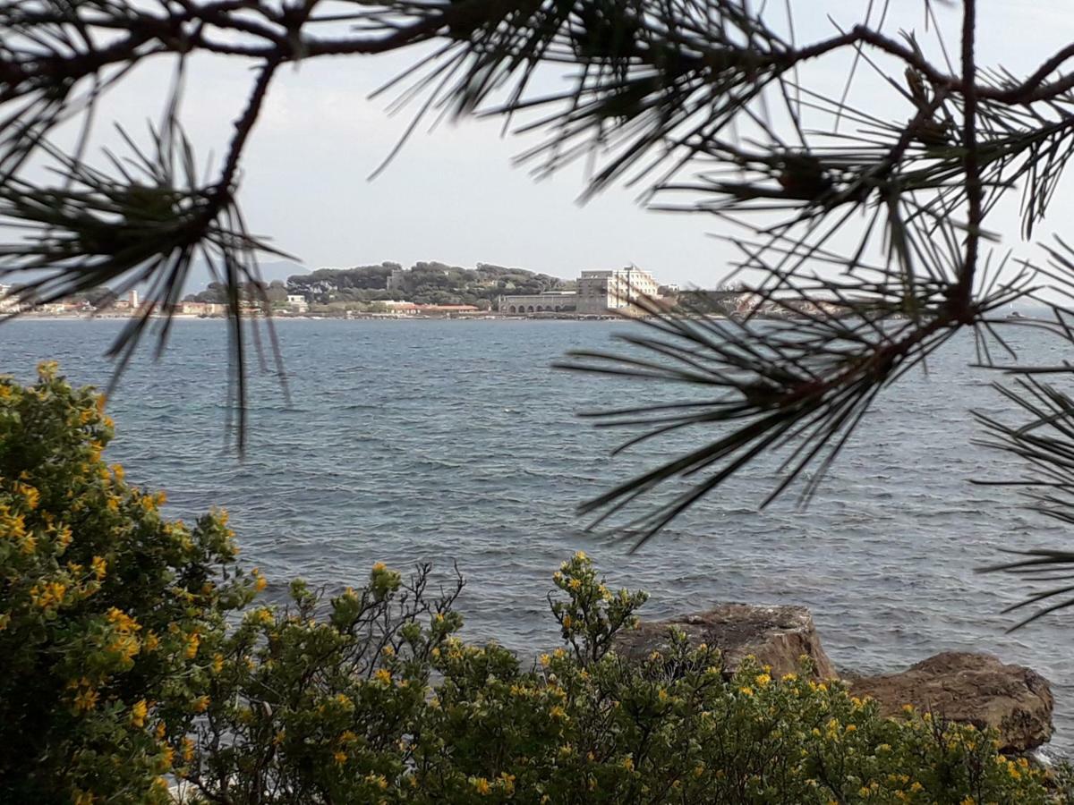 Bandol Nature Et Loisirs: Parking/ Piscine Εξωτερικό φωτογραφία